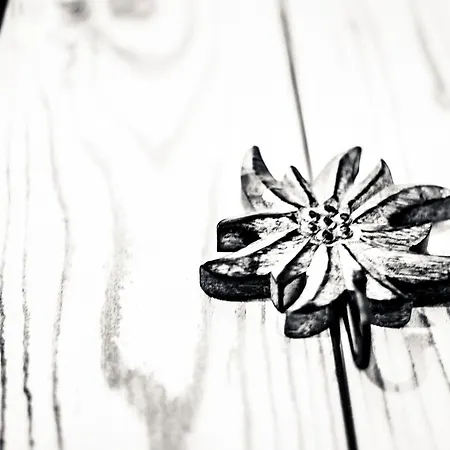 Dimora Al Bivacco Couette-café 3*