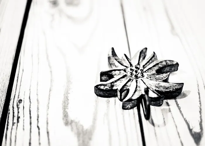 Dimora Al Bivacco Couette-café 3*